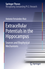 Extracellular Potentials in the Hippocampus - Antonio Fernández Ruiz