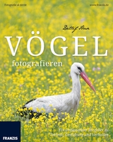 Vögel fotografieren - Detlef Hase