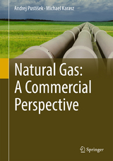 Natural Gas: A Commercial Perspective - Andrej Pustišek, Michael Karasz