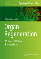 Organ Regeneration - 
