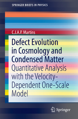 Defect Evolution in Cosmology and Condensed Matter - C.J.A.P. Martins