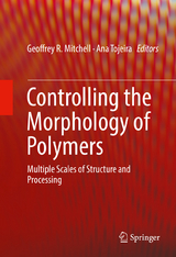 Controlling the Morphology of Polymers - 