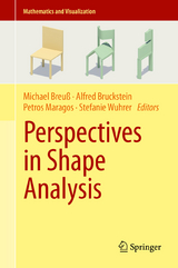 Perspectives in Shape Analysis - 