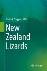 New Zealand Lizards - 