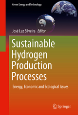 Sustainable Hydrogen Production Processes - 