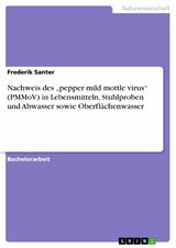 Nachweis des „pepper mild mottle virus“ (PMMoV) in Lebensmitteln, Stuhlproben und Abwasser sowie Oberflächenwasser - Frederik Santer