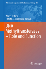 DNA Methyltransferases - Role and Function - 
