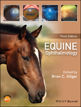 Equine Ophthalmology - 