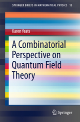 A Combinatorial Perspective on Quantum Field Theory - Karen Yeats