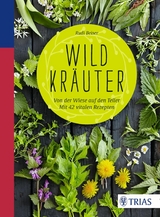 Wildkräuter -  Rudi Beiser