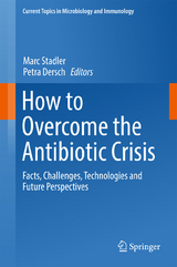 How to Overcome the Antibiotic Crisis - 