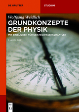 Grundkonzepte der Physik - Wolfgang Weidlich