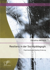 Resilienz in der Sozialpädagogik: Möglichkeiten der Resilienzförderung - Christina Witteck