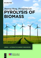 Pyrolysis of Biomass - Shurong Wang, Zhongyang Luo