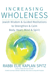 Increasing Wholeness -  Elie  Kaplan Spitz