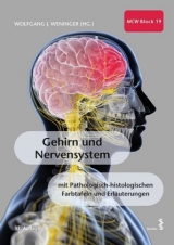 Gehirn und Nervensystem - Weninger, Wolfgang J.
