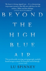 Beyond the High Blue Air - Lu Spinney