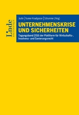 Unternehmenskrise und Sicherheiten - 