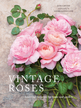 Vintage Roses -  Jane Eastoe