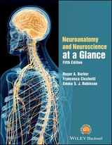 Neuroanatomy and Neuroscience at a Glance - Barker, Roger A.; Cicchetti, Francesca; Robinson, Emma S. J.