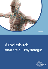 Arbeitsbuch Anatomie - Physiologie - Trebsdorf, Martin