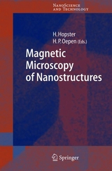 Magnetic Microscopy of Nanostructures - 
