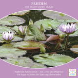 Frieden {Wir haben einen Traum} – geführte Meditation CD – Versöhnung finden, wieder gut machen, innerer Frieden, Empathie - Seraphine Monien