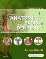 The Anatomical Basis of Dentistry - Liebgott, Bernard