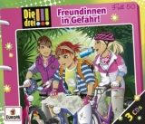 Freundinnen in Gefahr - Vogel, Maja von; Wich, Henriette; Sol, Mira