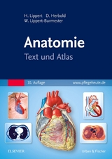 Anatomie - Lippert, Herbert; Herbold, Desiree; Lippert-Burmester, Wunna