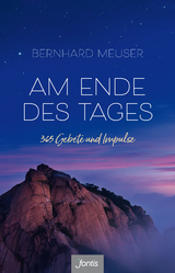 Am Ende des Tages - Bernhard Meuser