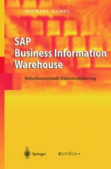 SAP Business Information Warehouse - Michael Hahne