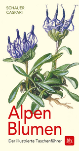 Alpen-Blumen - Caspari, Stefan; Schauer, Thomas; Caspari, Claus