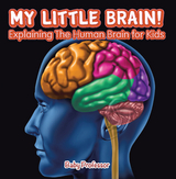 My Little Brain! - Explaining The Human Brain for Kids -  Baby Professor