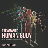 The Amazing Human Body | Anatomy and Physiology - Baby Professor