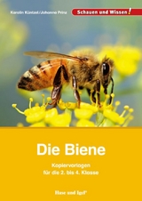 Die Biene – Kopiervorlagen für die 2. bis 4. Klasse - Karolin Küntzel, Johanna Prinz