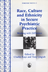 Race, Culture and Ethnicity in Secure Psychiatric Practice - 