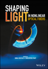 Shaping Light in Nonlinear Optical Fibers - 