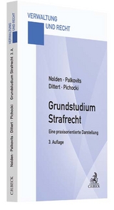 Grundstudium Strafrecht - Nolden, Waltraud; Palkovits, Frank; Dittert, Susanne; Pichocki, Frank