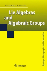 Lie Algebras and Algebraic Groups - Patrice Tauvel, Rupert W. T. Yu