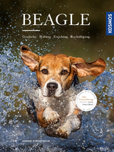 Beagle - Sophie Strodtbeck