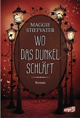 Wo das Dunkel schläft (Band 4) - Maggie Stiefvater