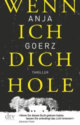 Wenn ich dich hole - Anja Goerz