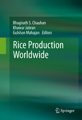 Rice Production Worldwide - 