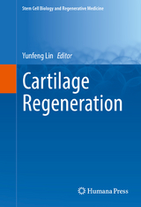 Cartilage Regeneration - 