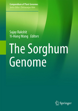 The Sorghum Genome - 