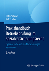 Praxishandbuch Betriebsprüfung im Sozialversicherungsrecht - Petra Schewe, Ralf Fischer