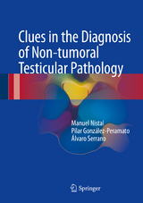 Clues in the Diagnosis of Non-tumoral Testicular Pathology - Manuel Nistal, Pilar González-Peramato, Álvaro Serrano