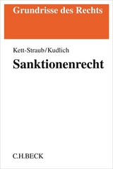 Sanktionenrecht - Gabriele Kett-Straub, Hans Kudlich