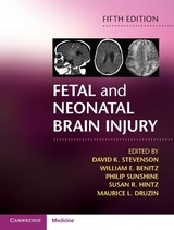 Fetal and Neonatal Brain Injury - Stevenson, David K.; Benitz, William E.; Sunshine, Philip; Hintz, Susan R.; Druzin, Maurice L.